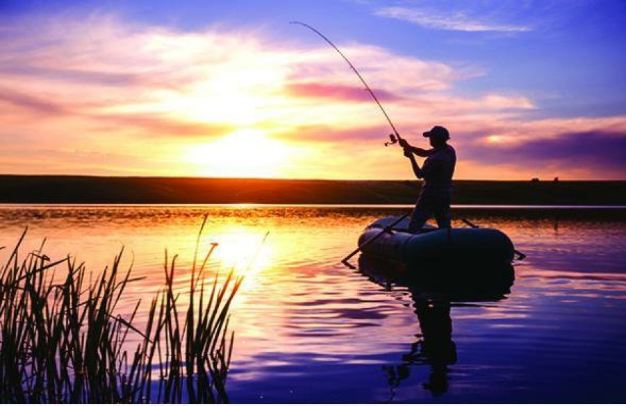 T-H Marine Hydrowave - Mini System - Catfish Kayak Essentials